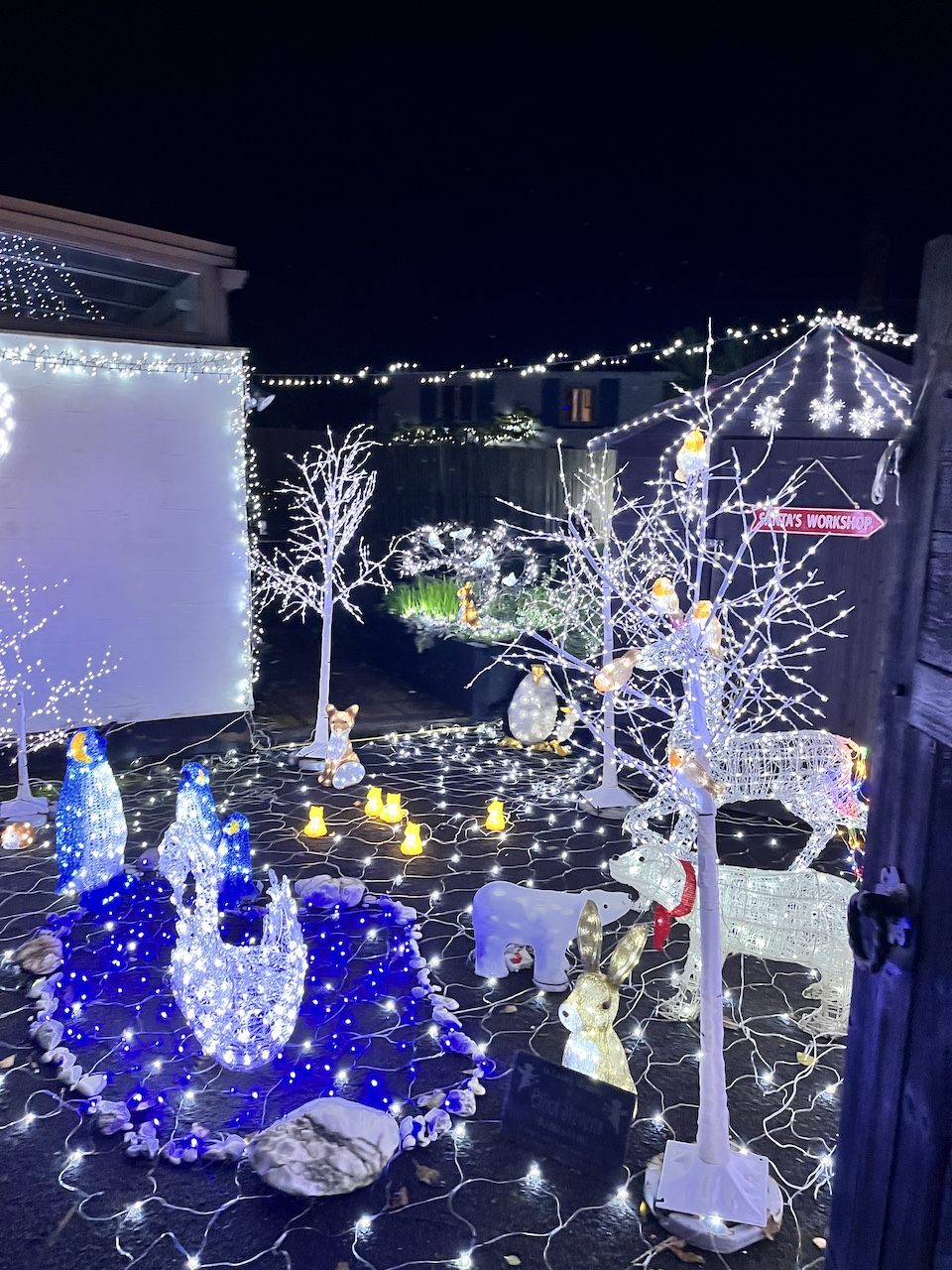 Elliot's Touch kicks off festive season with Christmas Lights Display Featured Image